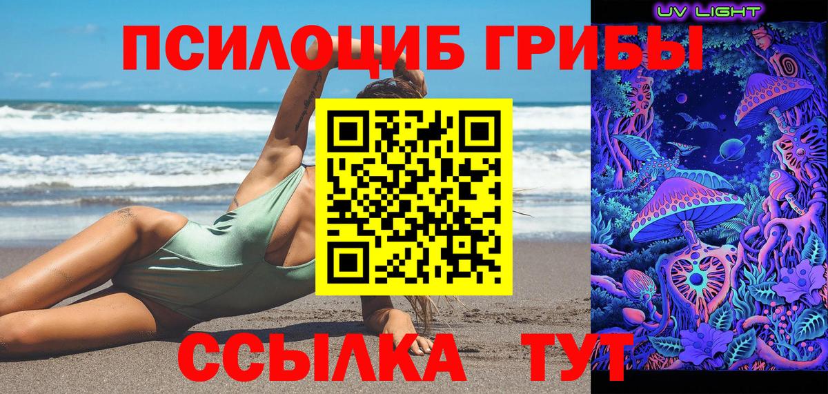Галлюциногенные грибы Psilocybe Приморско-Ахтарск